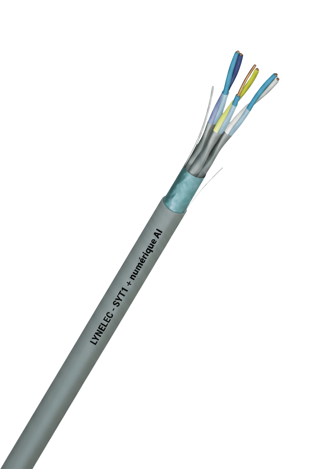 SYT1+ numérique